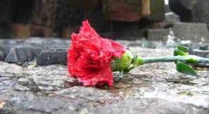 Odnośnik do galerii